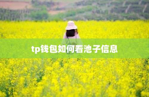 tp钱包如何看池子信息