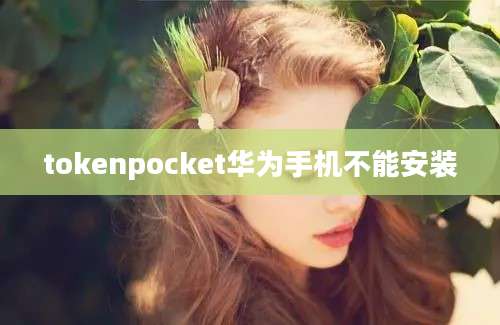 tokenpocket华为手机不能安装