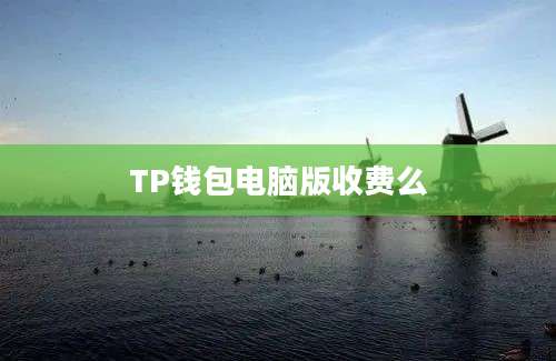 TP钱包电脑版收费么