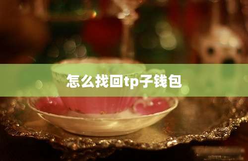 怎么找回tp子钱包