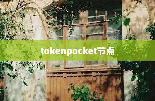 tokenpocket节点