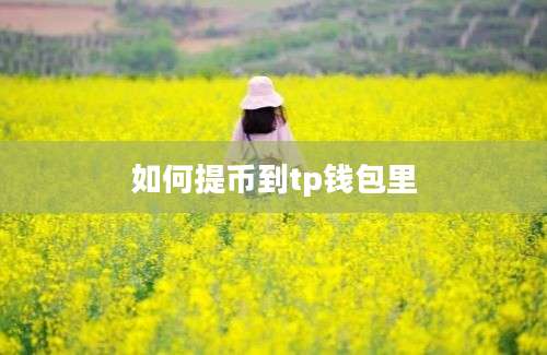 如何提币到tp钱包里