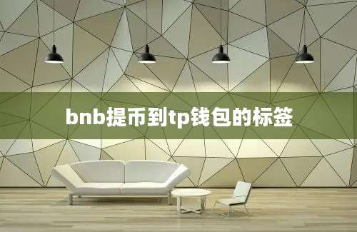 bnb提币到tp钱包的标签