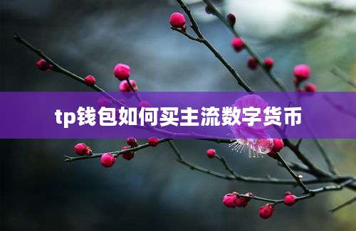 tp钱包如何买主流数字货币