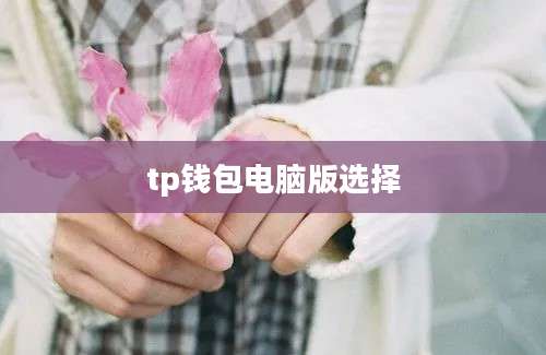 tp钱包电脑版选择