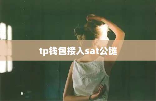 tp钱包接入sat公链