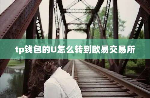 tp钱包的U怎么转到欧易交易所