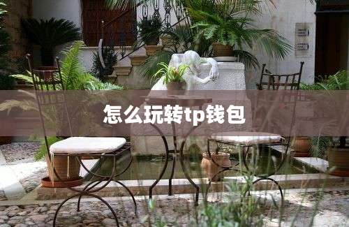 怎么玩转tp钱包