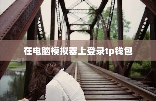 在电脑模拟器上登录tp钱包