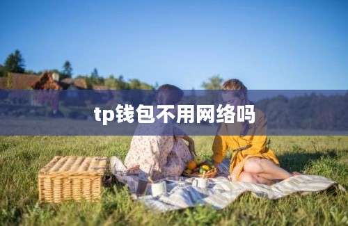 tp钱包不用网络吗