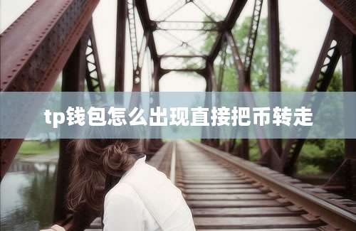 tp钱包怎么出现直接把币转走