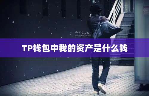 TP钱包中我的资产是什么钱
