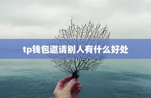 tp钱包邀请别人有什么好处