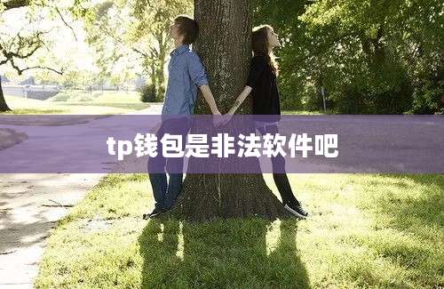 tp钱包是非法软件吧