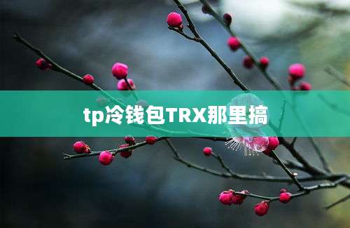 tp冷钱包TRX那里搞