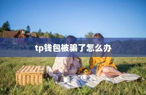 tp钱包被骗了怎么办