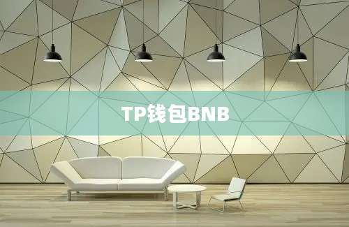 TP钱包BNB
