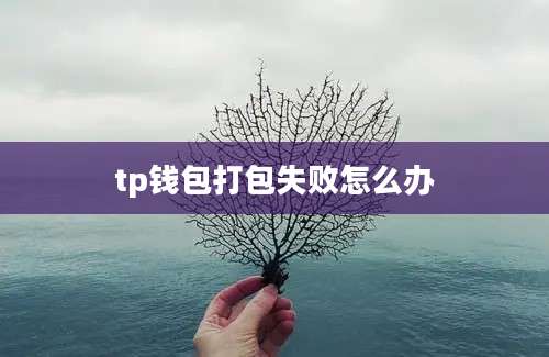 tp钱包打包失败怎么办