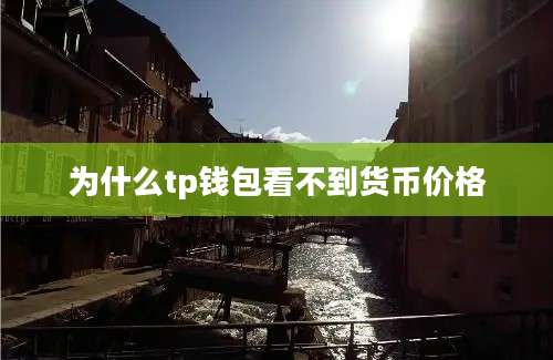 为什么tp钱包看不到货币价格