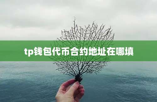 tp钱包代币合约地址在哪填