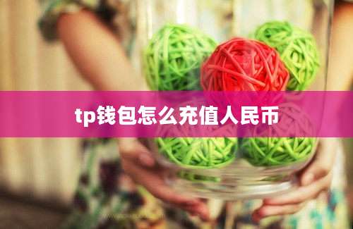 tp钱包怎么充值人民币