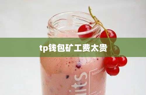 tp钱包矿工费太贵