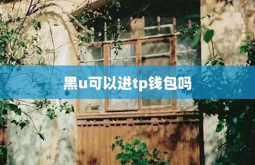 黑u可以进tp钱包吗