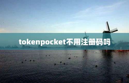 tokenpocket不用注册码吗