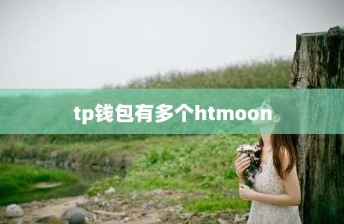 tp钱包有多个htmoon