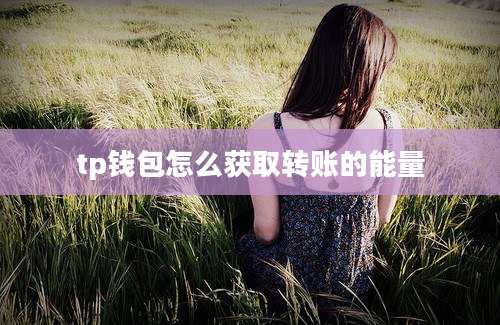 tp钱包怎么获取转账的能量