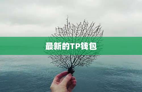 最新的TP钱包