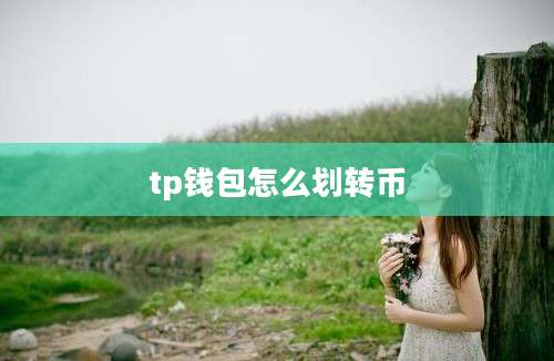 tp钱包怎么划转币