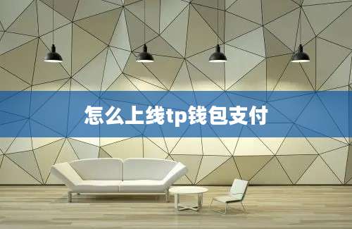 怎么上线tp钱包支付