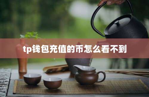 tp钱包充值的币怎么看不到