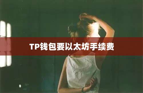 TP钱包要以太坊手续费