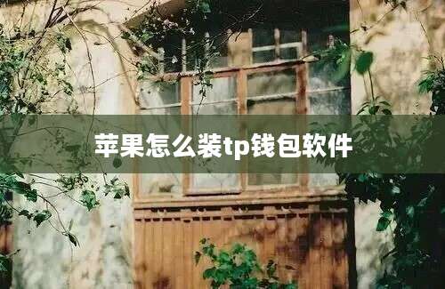苹果怎么装tp钱包软件