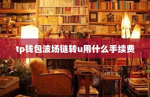 tp钱包波场链转u用什么手续费