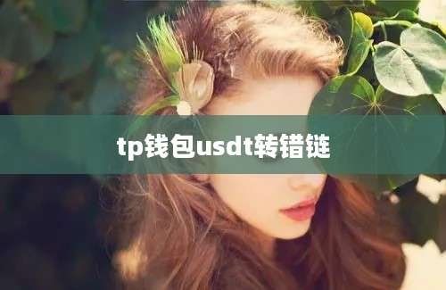tp钱包usdt转错链