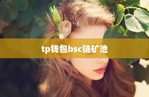 tp钱包bsc链矿池