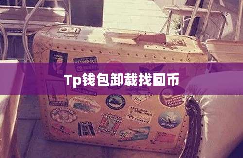 Tp钱包卸载找回币