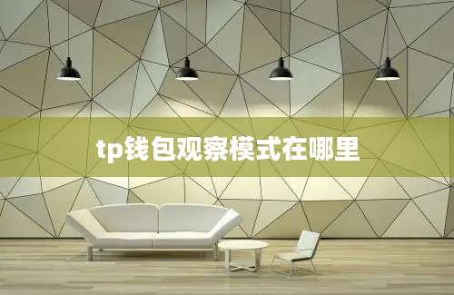 tp钱包观察模式在哪里