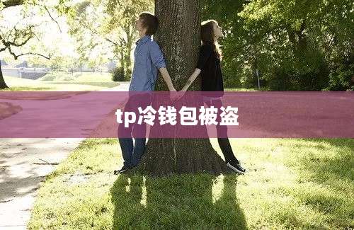 tp冷钱包被盗
