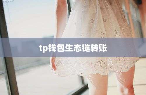 tp钱包生态链转账