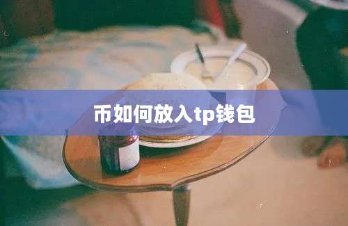币如何放入tp钱包