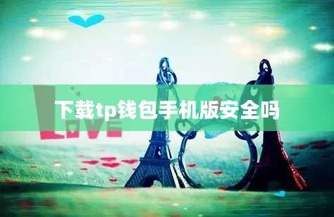 下载tp钱包手机版安全吗