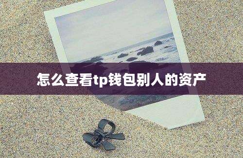 怎么查看tp钱包别人的资产
