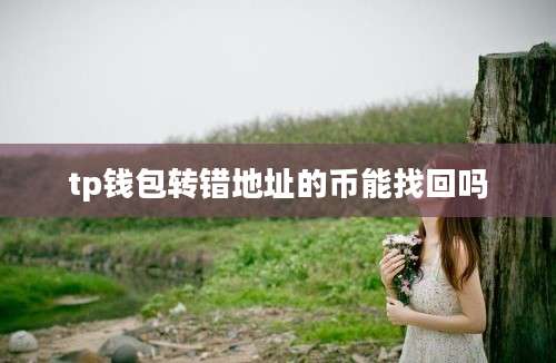 tp钱包转错地址的币能找回吗