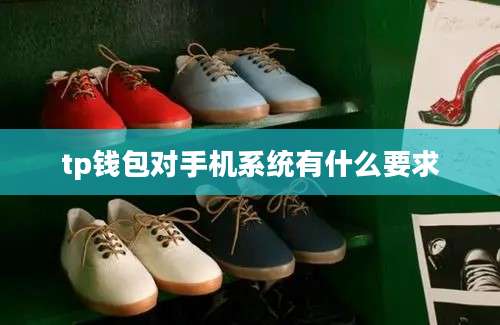 tp钱包对手机系统有什么要求