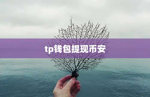 tp钱包提现币安