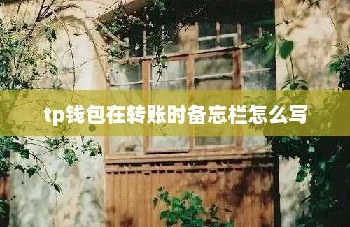 tp钱包在转账时备忘栏怎么写